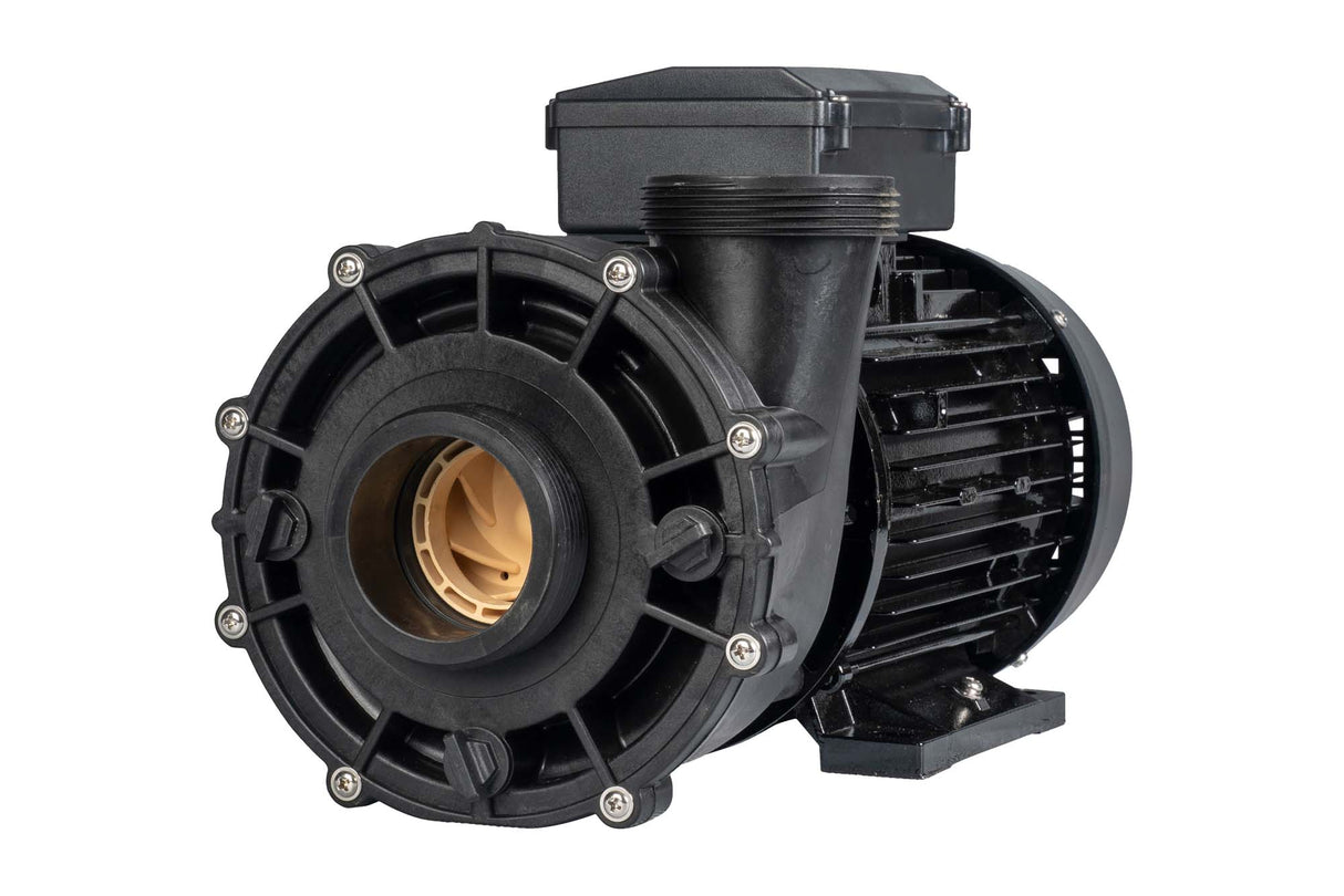 Pompe WP250-II - 2,5 HP, double vitesse 