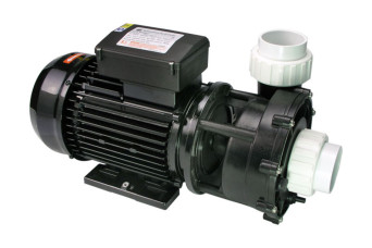  WP250-II Pump 2.5 HP, Dual Speed 150820-30