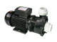 WP250-II Pump - 2.5 HP, Dual Speed