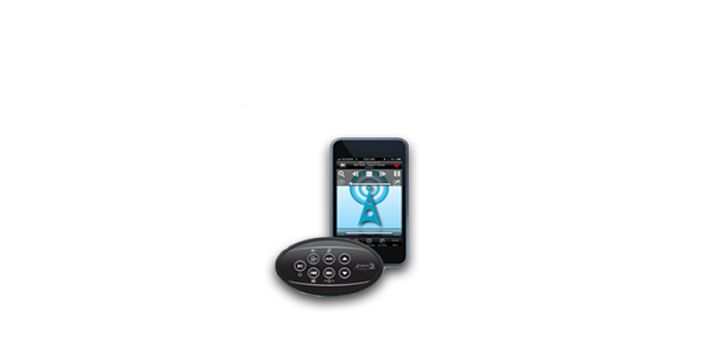 Spa Remote Controls